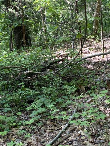 1995 Hanna Branch Road Prospect TN 38477