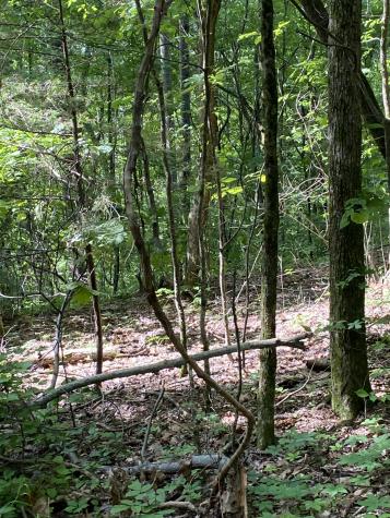 1995 Hanna Branch Road Prospect TN 38477