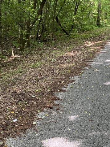 1995 Hanna Branch Road Prospect TN 38477