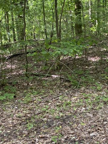 1995 Hanna Branch Road Prospect TN 38477