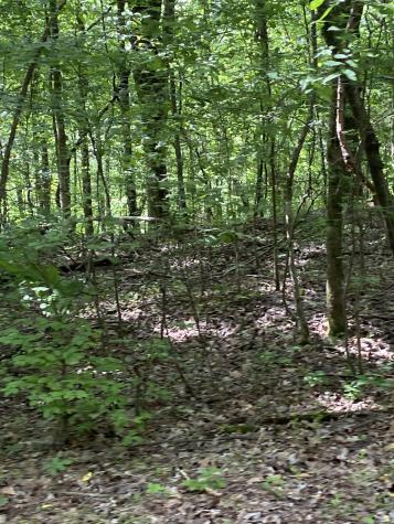 1995 Hanna Branch Road Prospect TN 38477