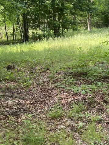 1995 Hanna Branch Road Prospect TN 38477