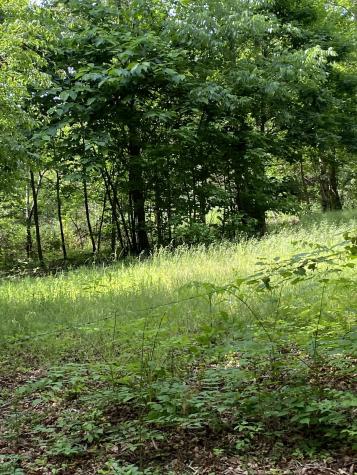 1995 Hanna Branch Road Prospect TN 38477