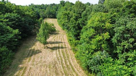 1995 Hanna Branch Road Prospect TN 38477