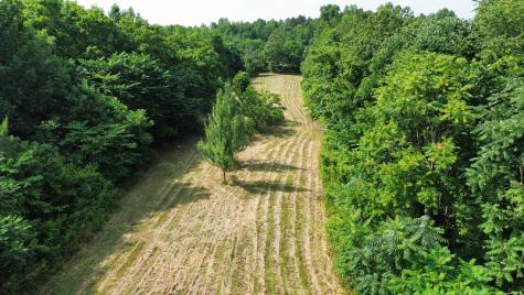 1995 Hanna Branch Road Prospect TN 38477