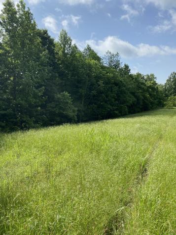 1995 Hanna Branch Road Prospect TN 38477