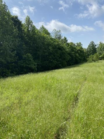 1995 Hanna Branch Road Prospect TN 38477