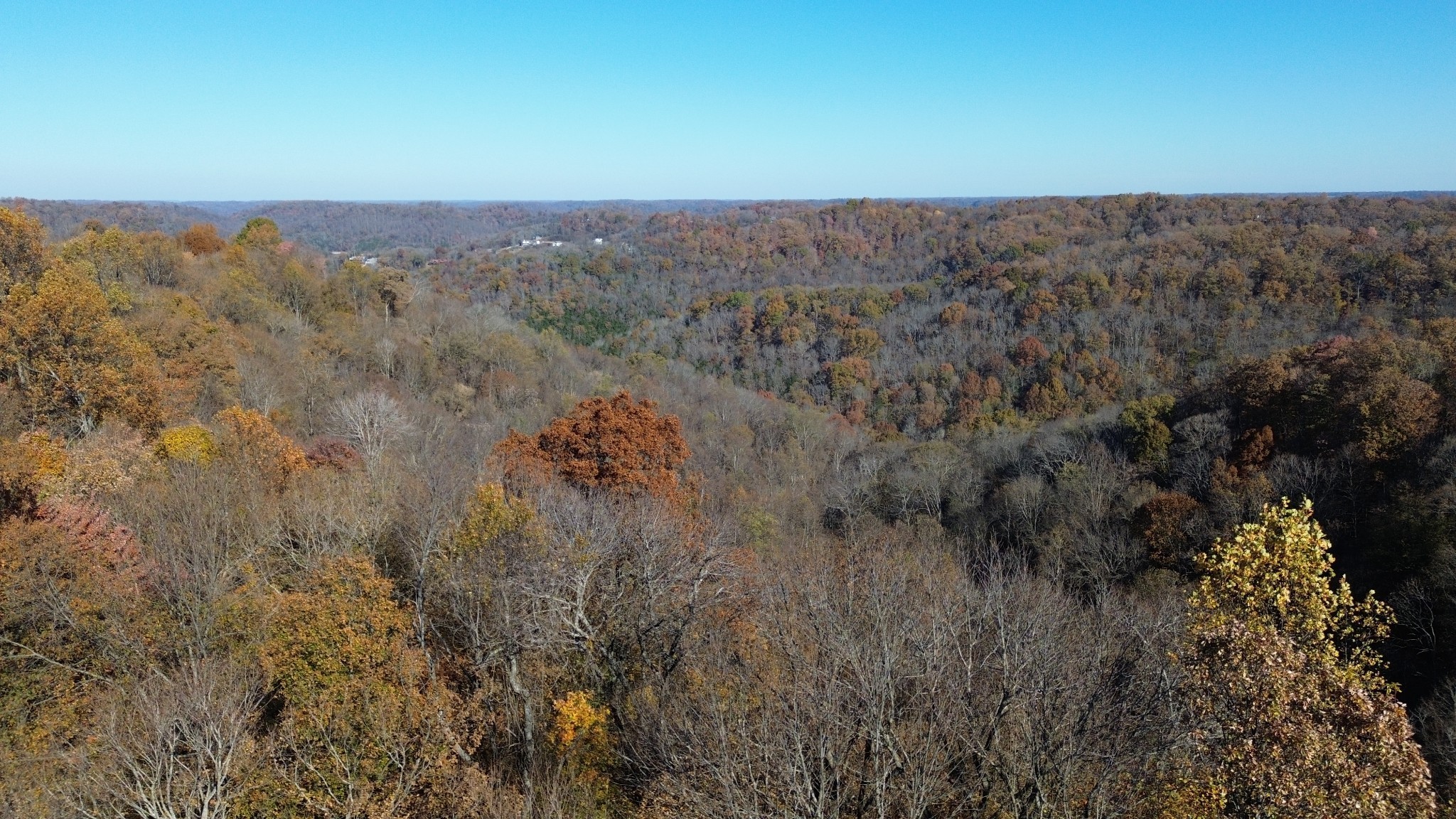0 Savannah Drive Smithville TN 37166