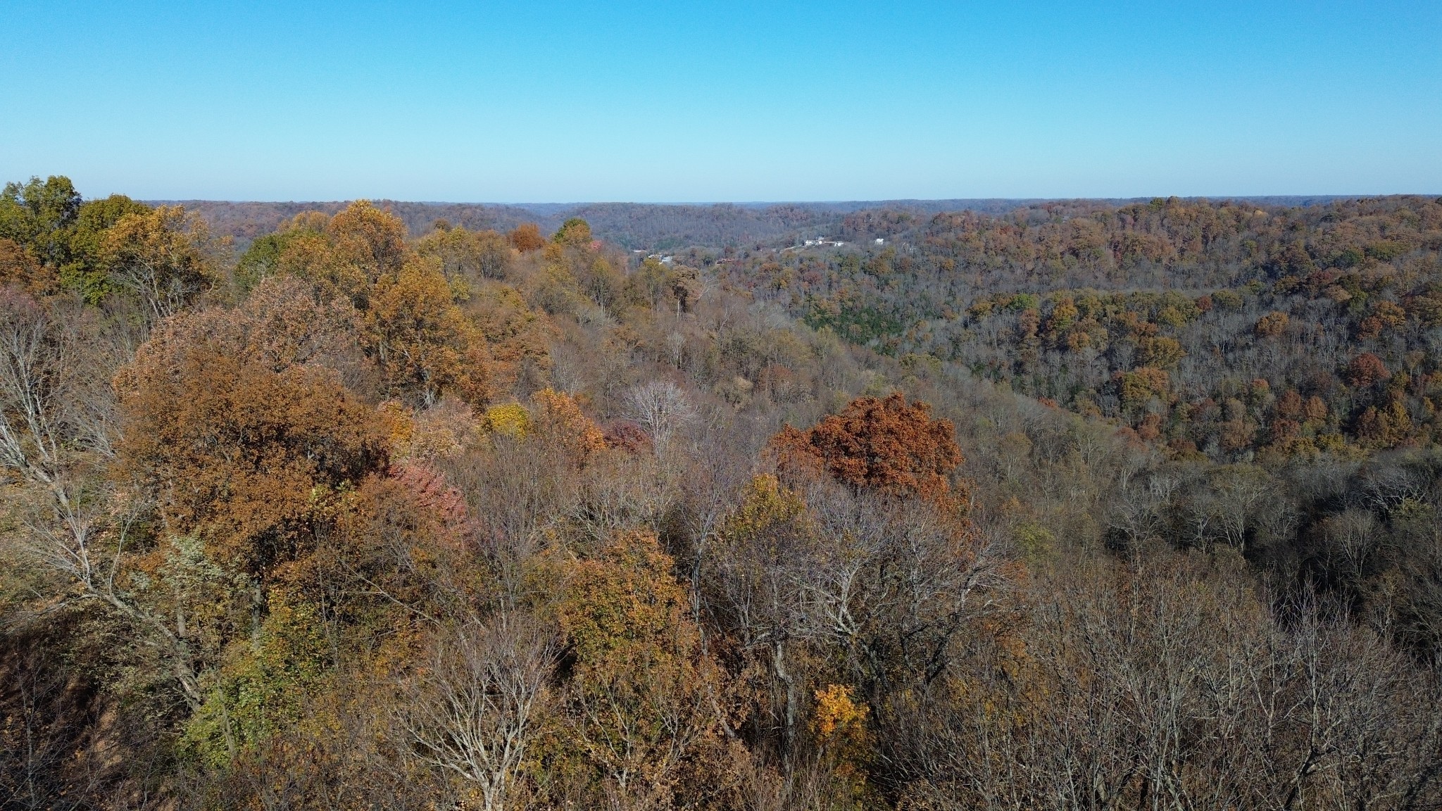 0 Savannah Drive Smithville TN 37166