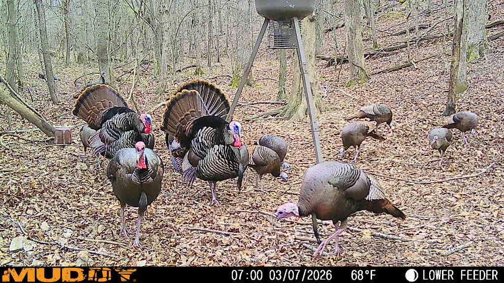 220 Ovilla Lane Lawrenceburg TN 38464