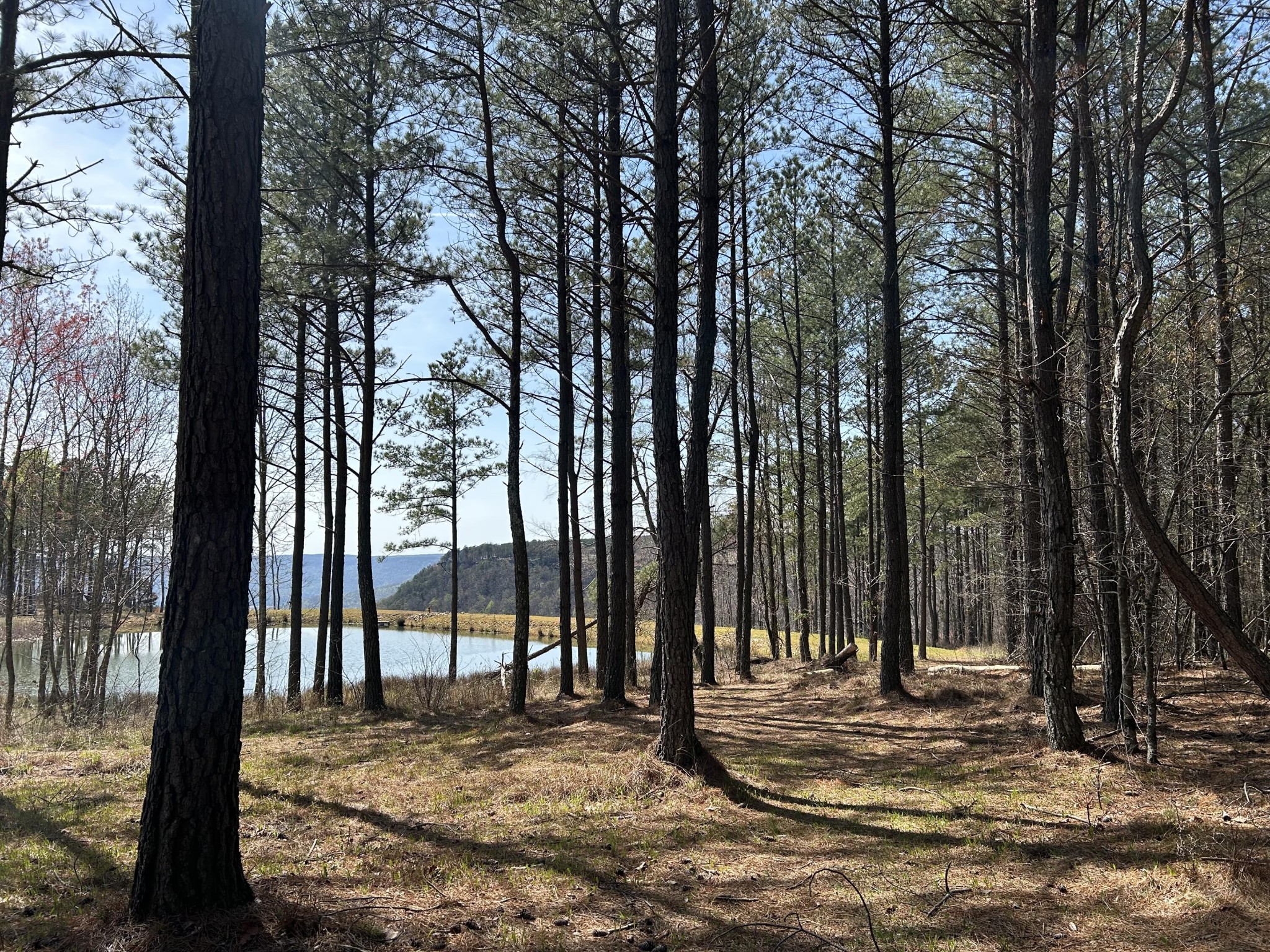 4093 Raulston Falls Road Jasper TN 37347