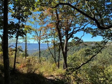 4093 Raulston Falls Road Jasper TN 37347