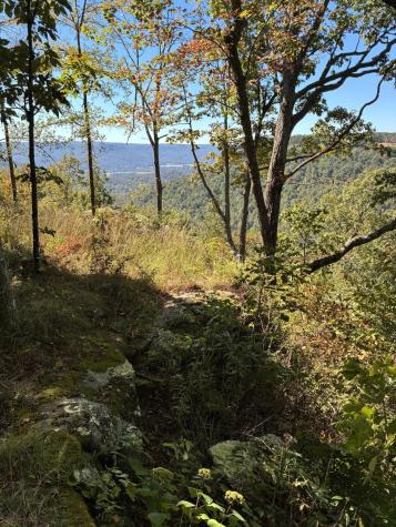 4093 Raulston Falls Road Jasper TN 37347