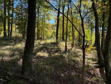 4093 Raulston Falls Road Jasper TN 37347