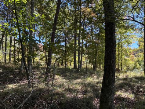 4093 Raulston Falls Road Jasper TN 37347