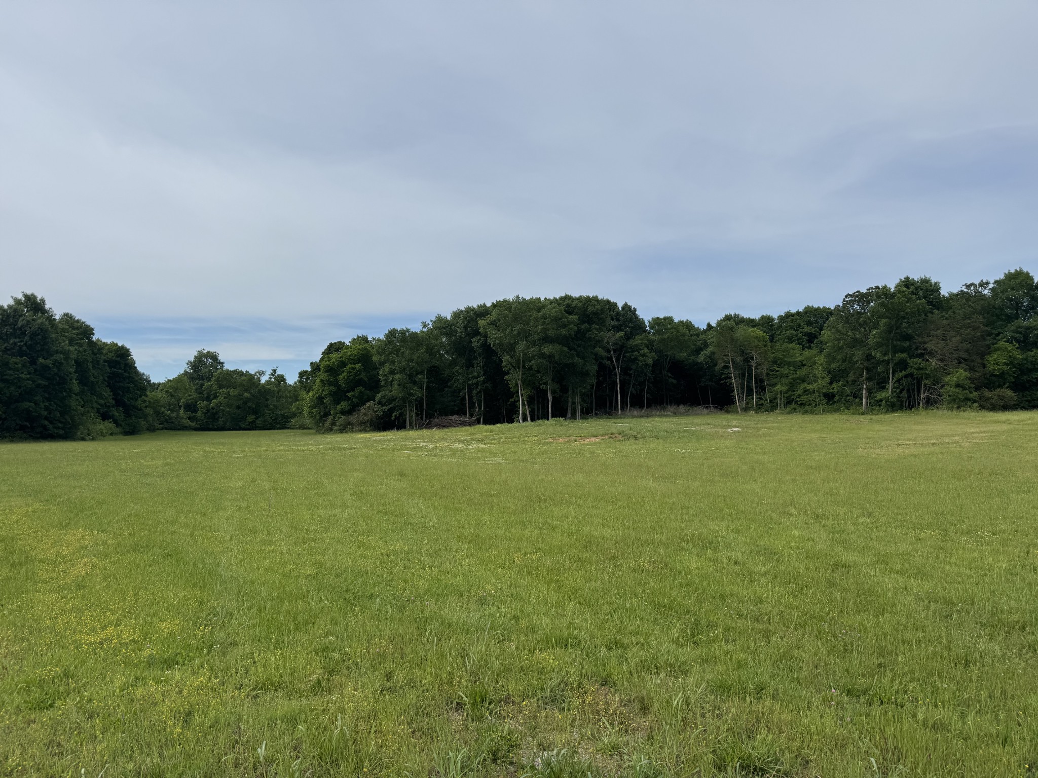 0 Old Nashville Dirt Road Shelbyville TN 37160
