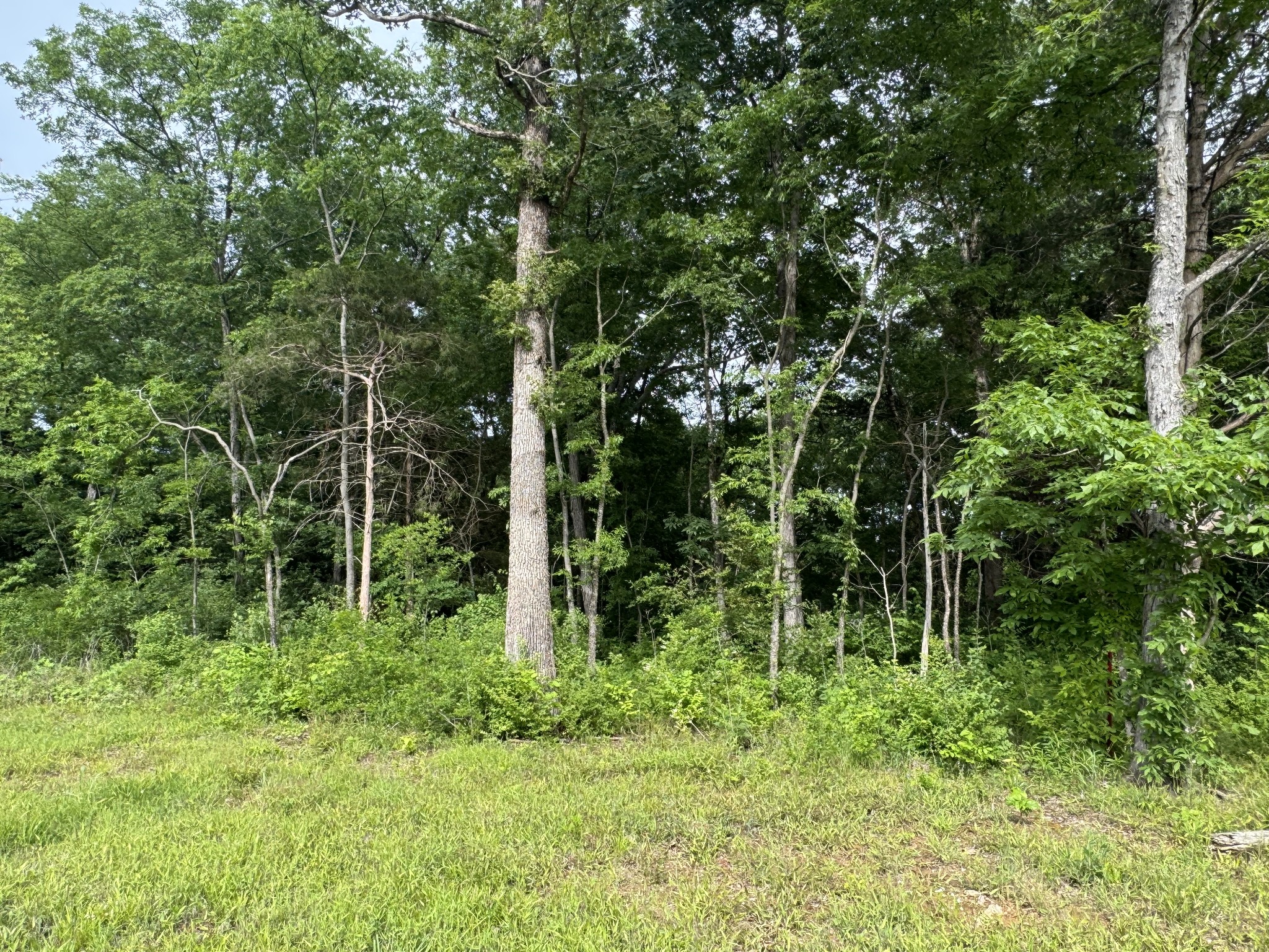 0 Old Nashville Dirt Road Shelbyville TN 37160