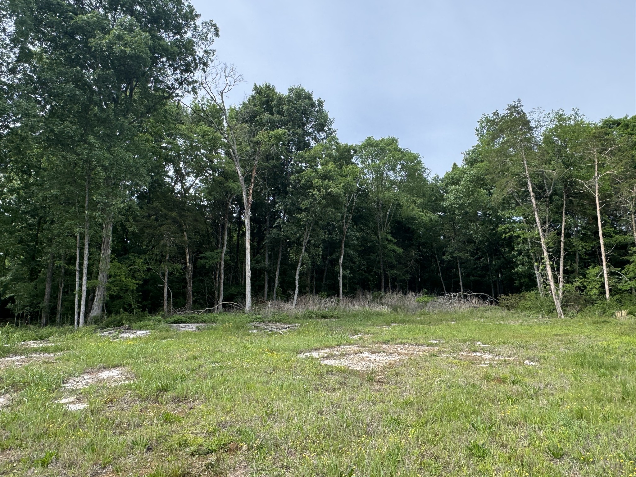 0 Old Nashville Dirt Road Shelbyville TN 37160