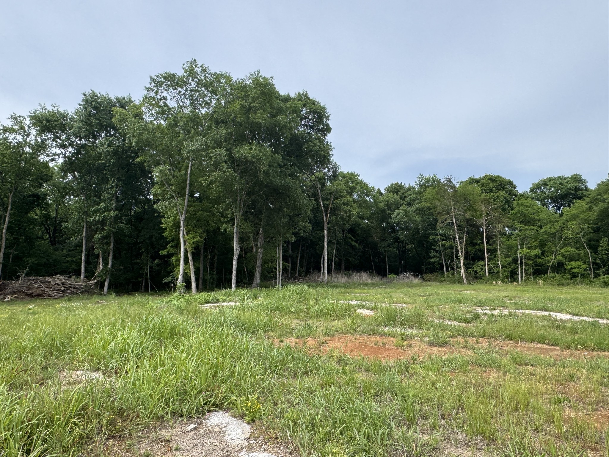 0 Old Nashville Dirt Road Shelbyville TN 37160
