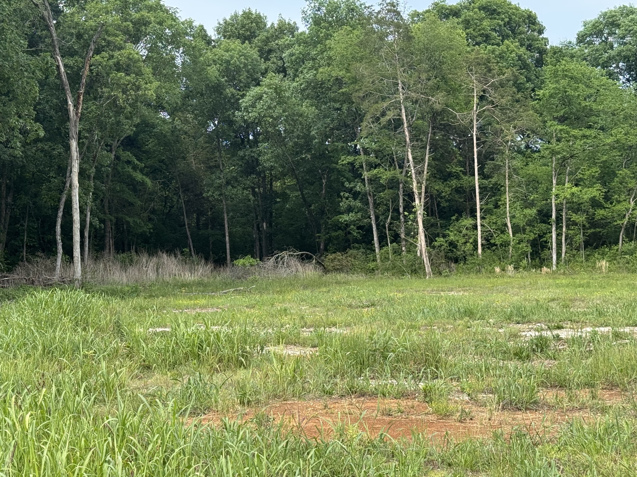 0 Old Nashville Dirt Road Shelbyville TN 37160