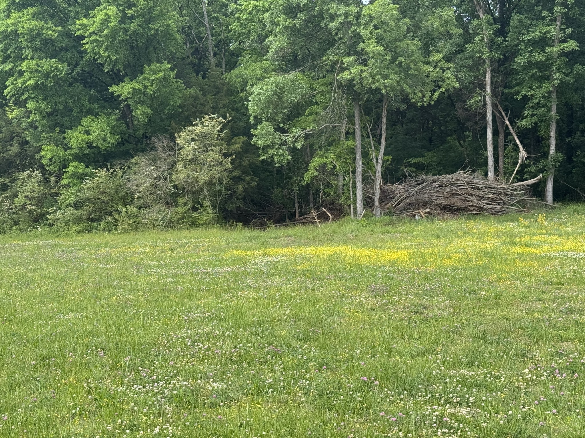 0 Old Nashville Dirt Road Shelbyville TN 37160
