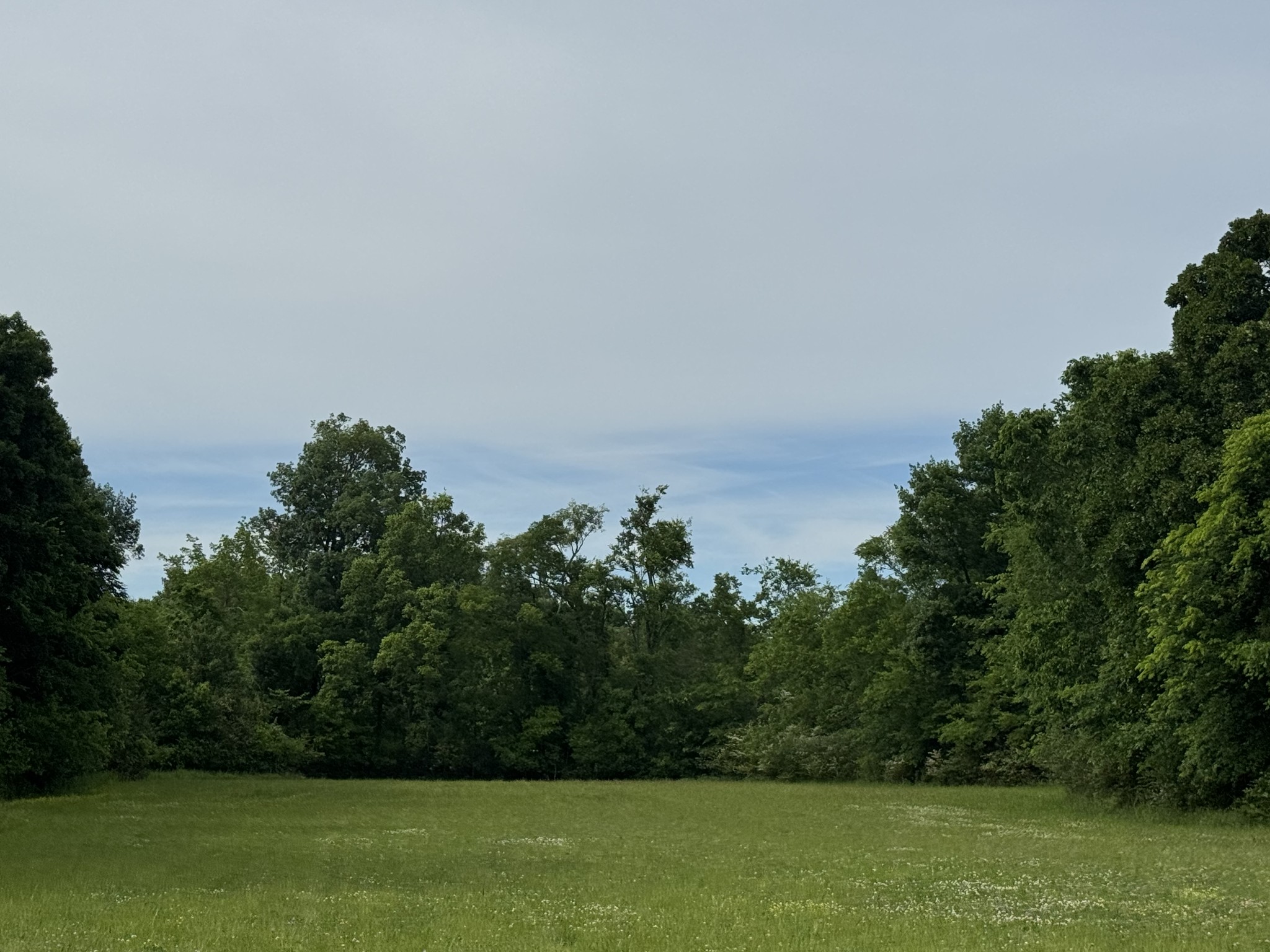 0 Old Nashville Dirt Road Shelbyville TN 37160