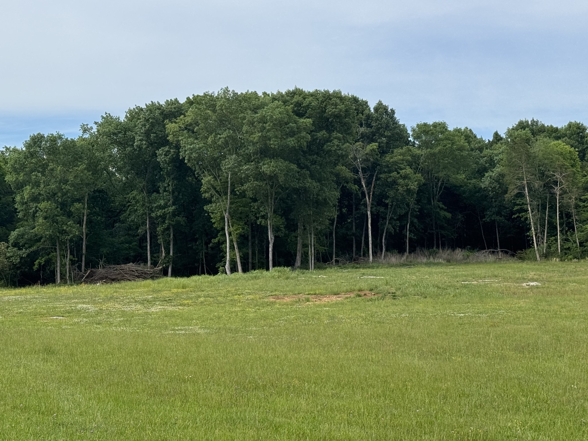 0 Old Nashville Dirt Road Shelbyville TN 37160