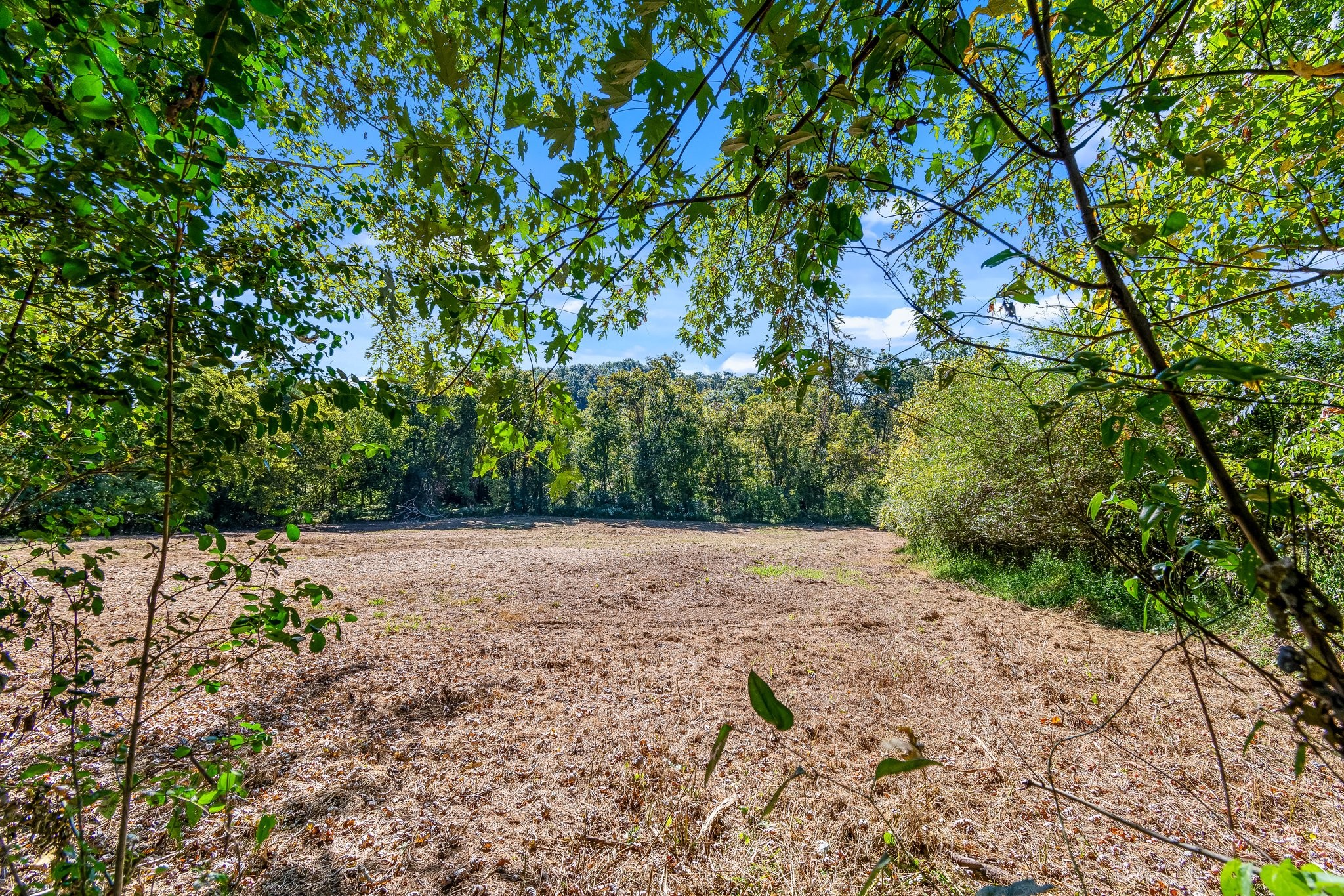 5150 Flat Creek Road Spring Hill TN 37174