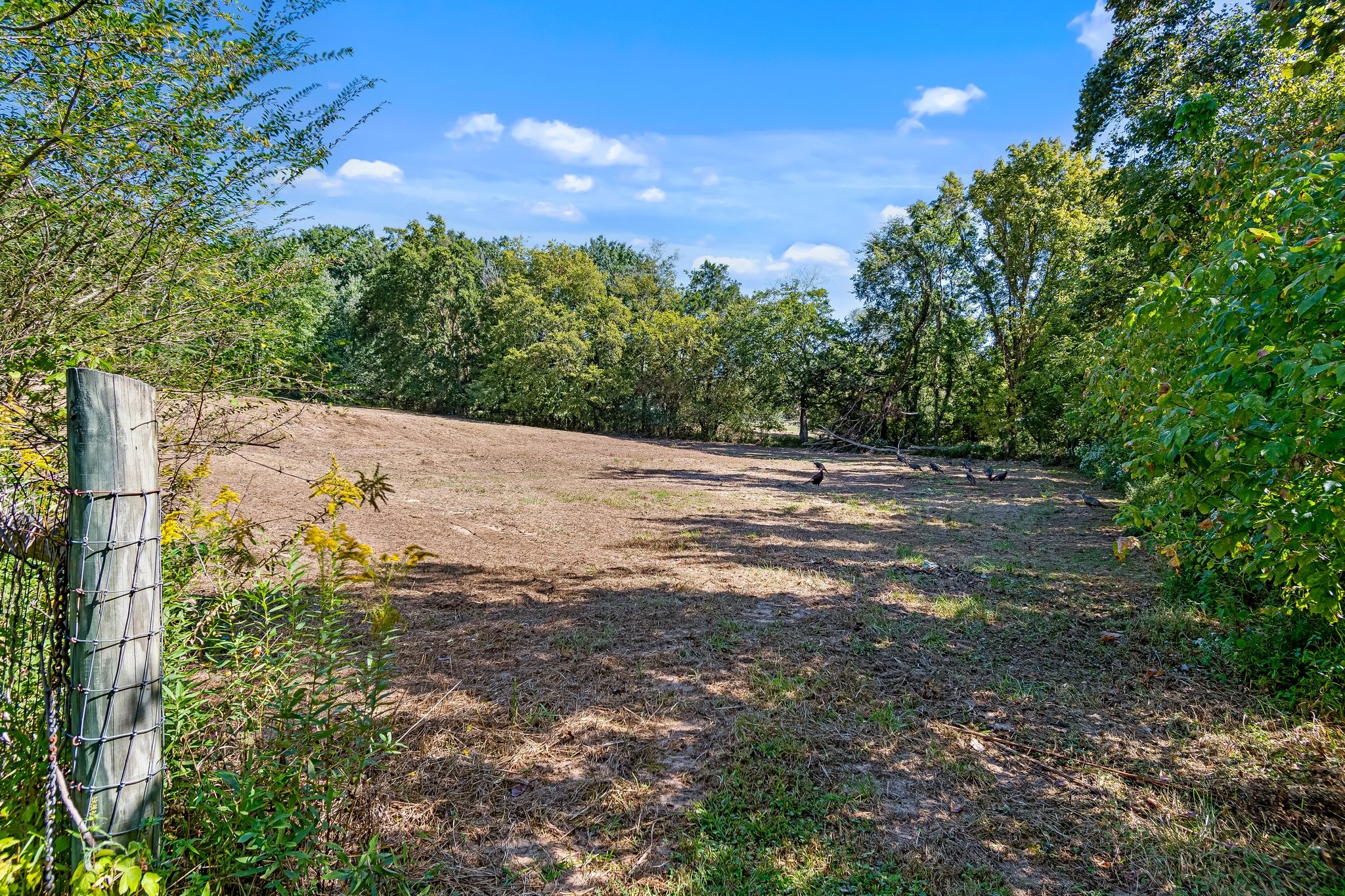 5150 Flat Creek Road Spring Hill TN 37174