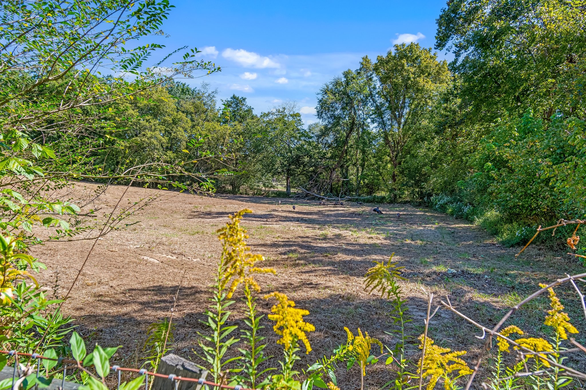 5150 Flat Creek Road Spring Hill TN 37174