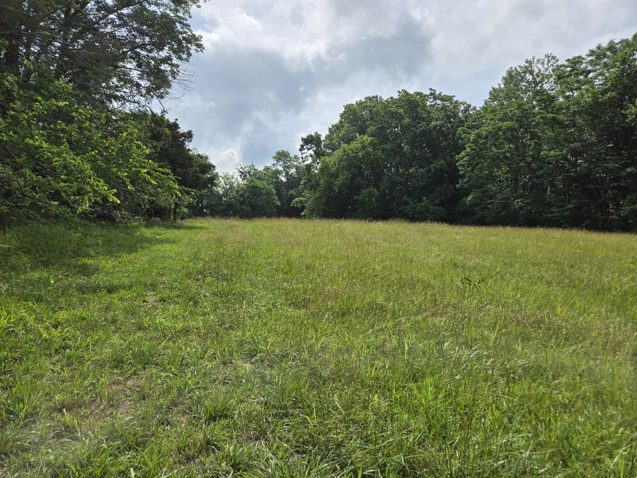 0 Mobley Ridge Road Duck River TN 38454