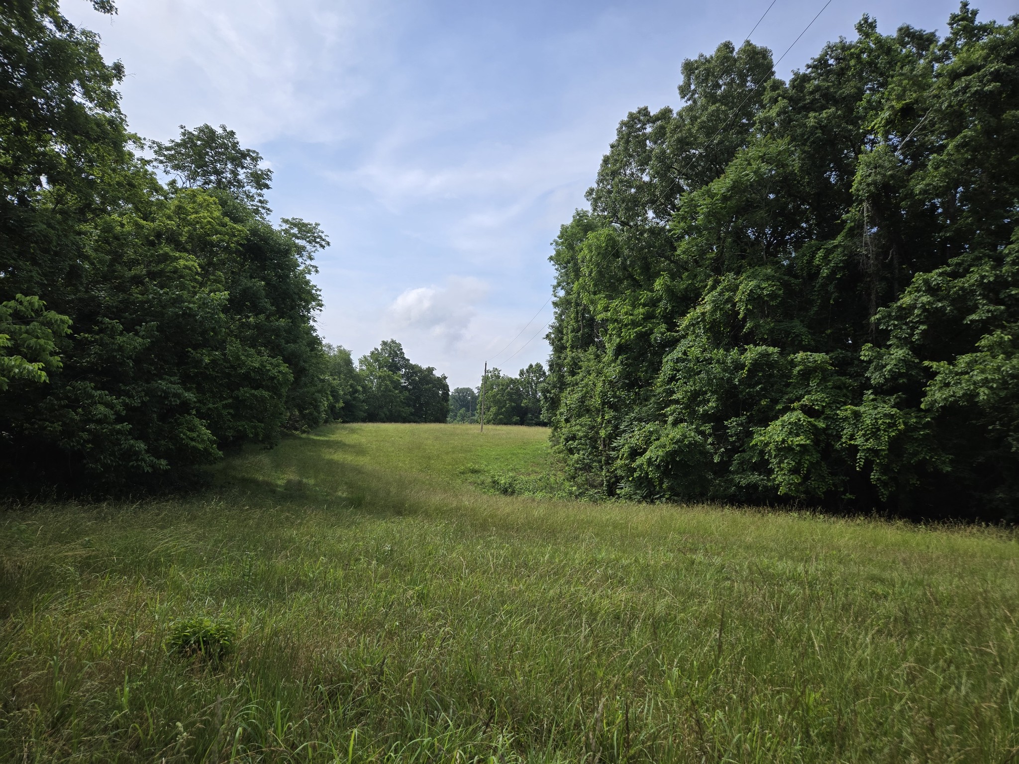 0 Mobley Ridge Road Duck River TN 38454