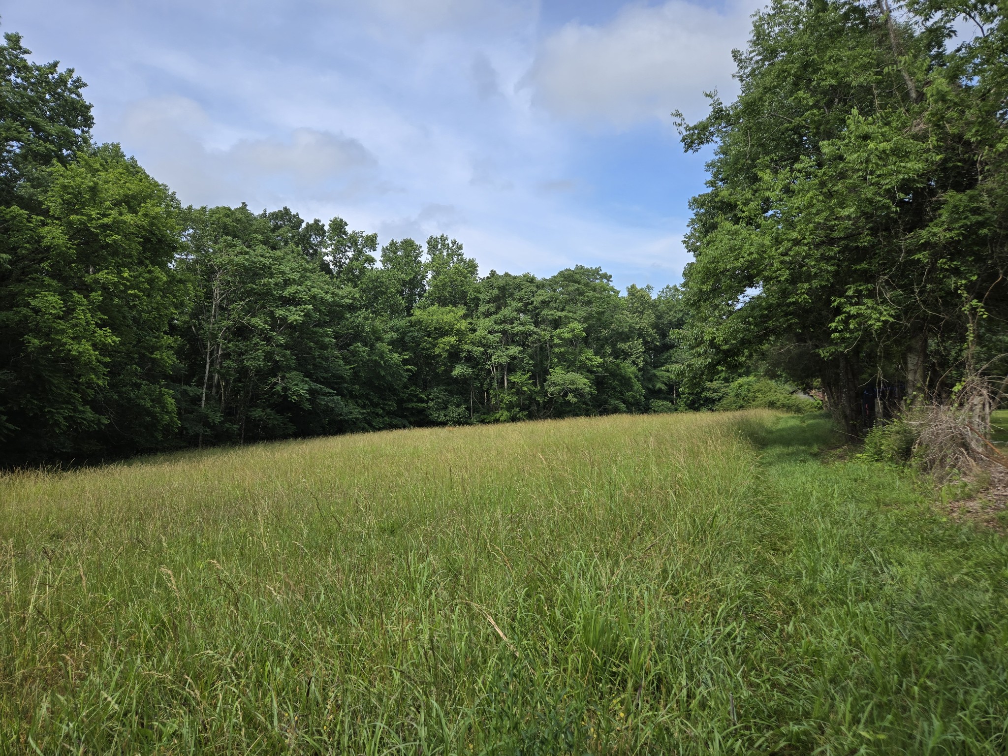 0 Mobley Ridge Road Duck River TN 38454