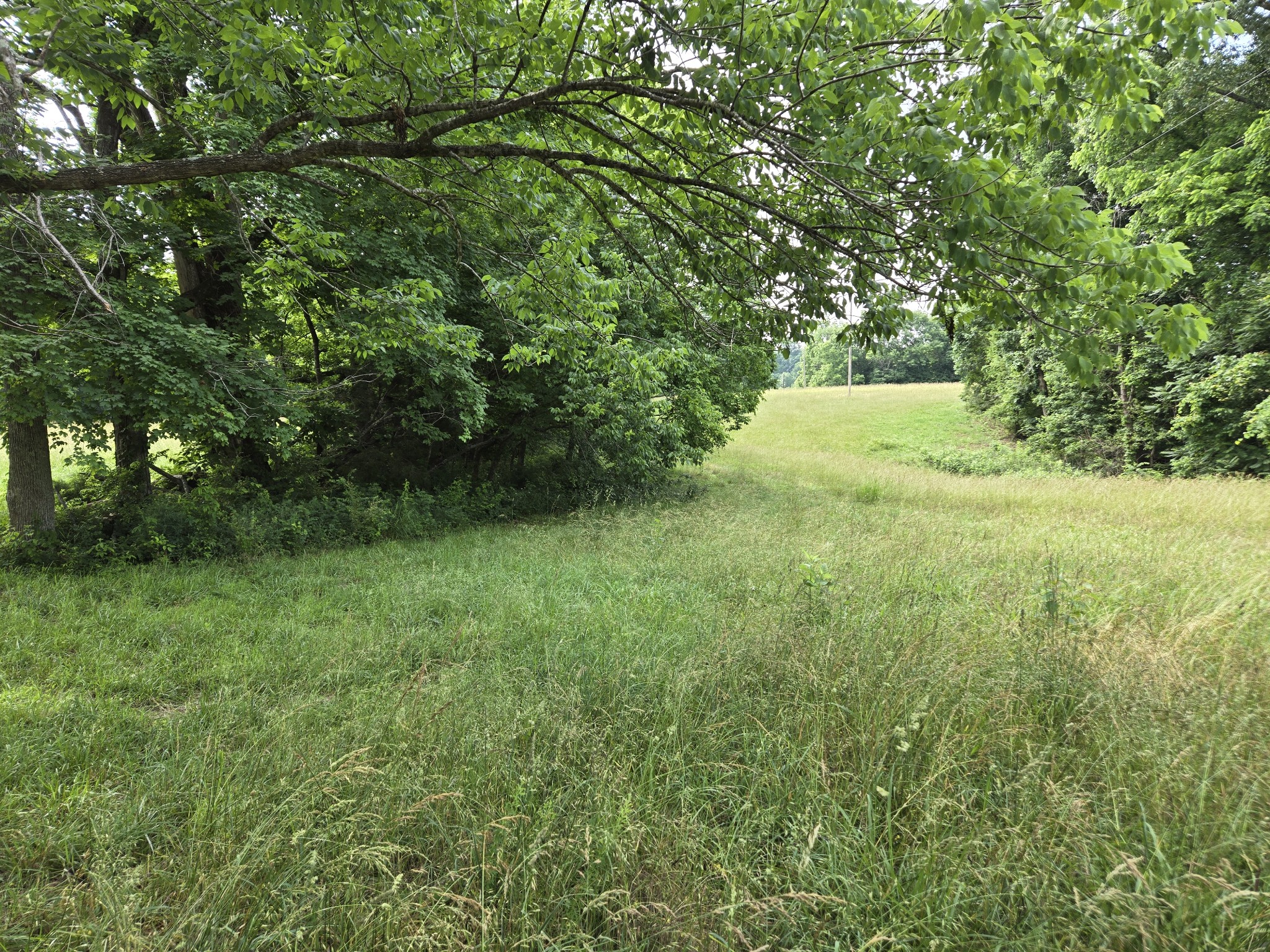 0 Mobley Ridge Road Duck River TN 38454