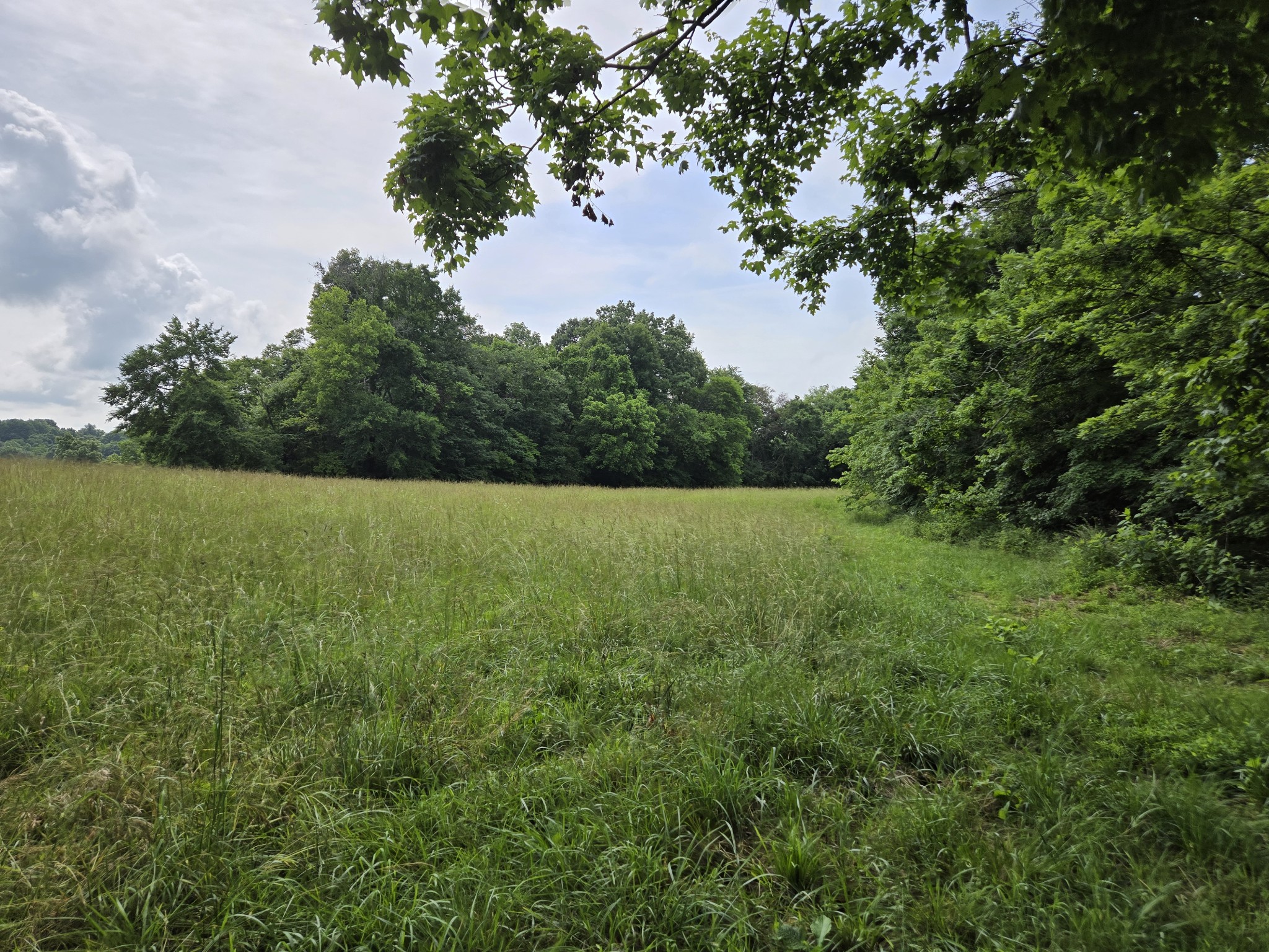 0 Mobley Ridge Road Duck River TN 38454