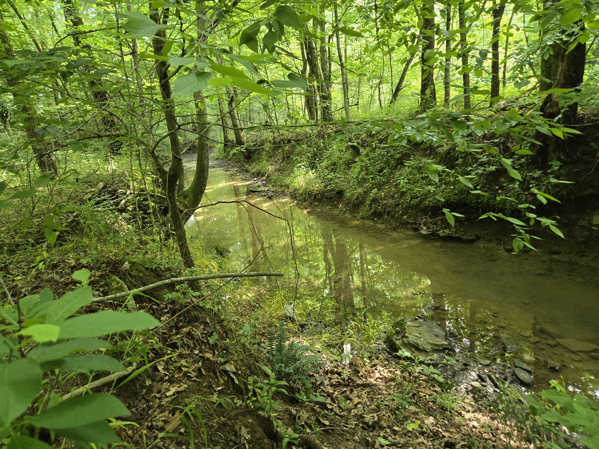 0 Mobley Ridge Road Duck River TN 38454