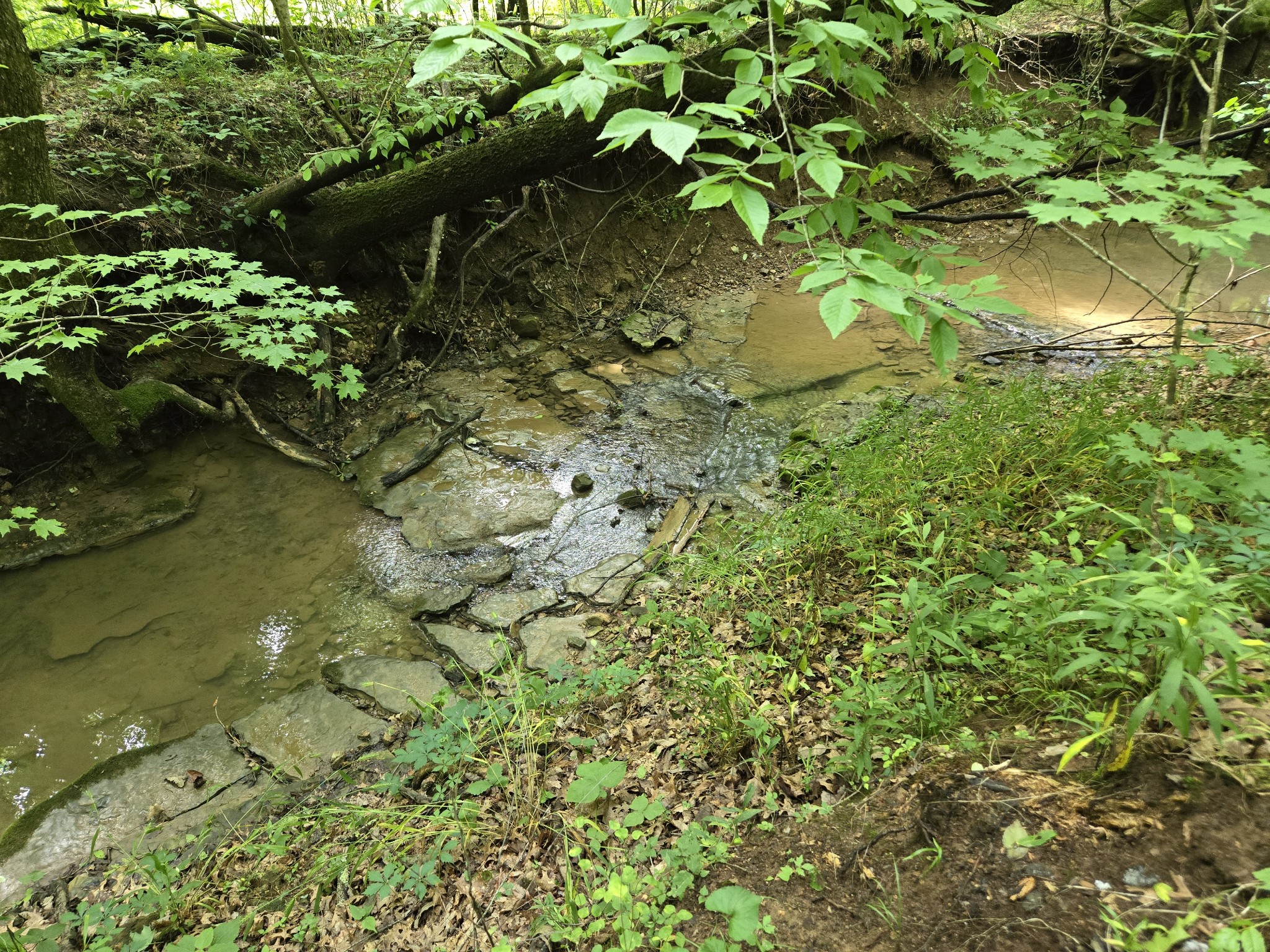 0 Mobley Ridge Road Duck River TN 38454