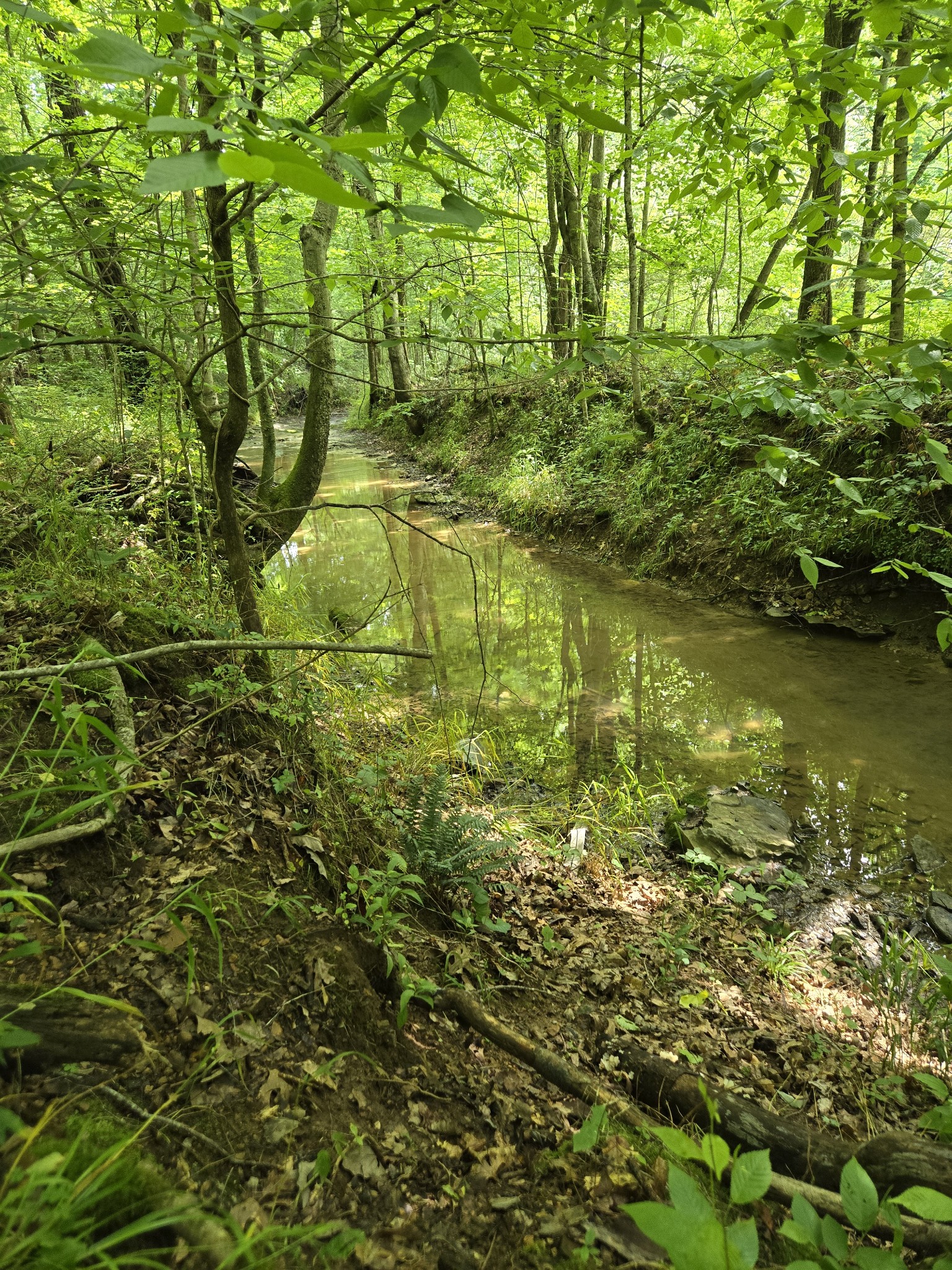 0 Mobley Ridge Road Duck River TN 38454