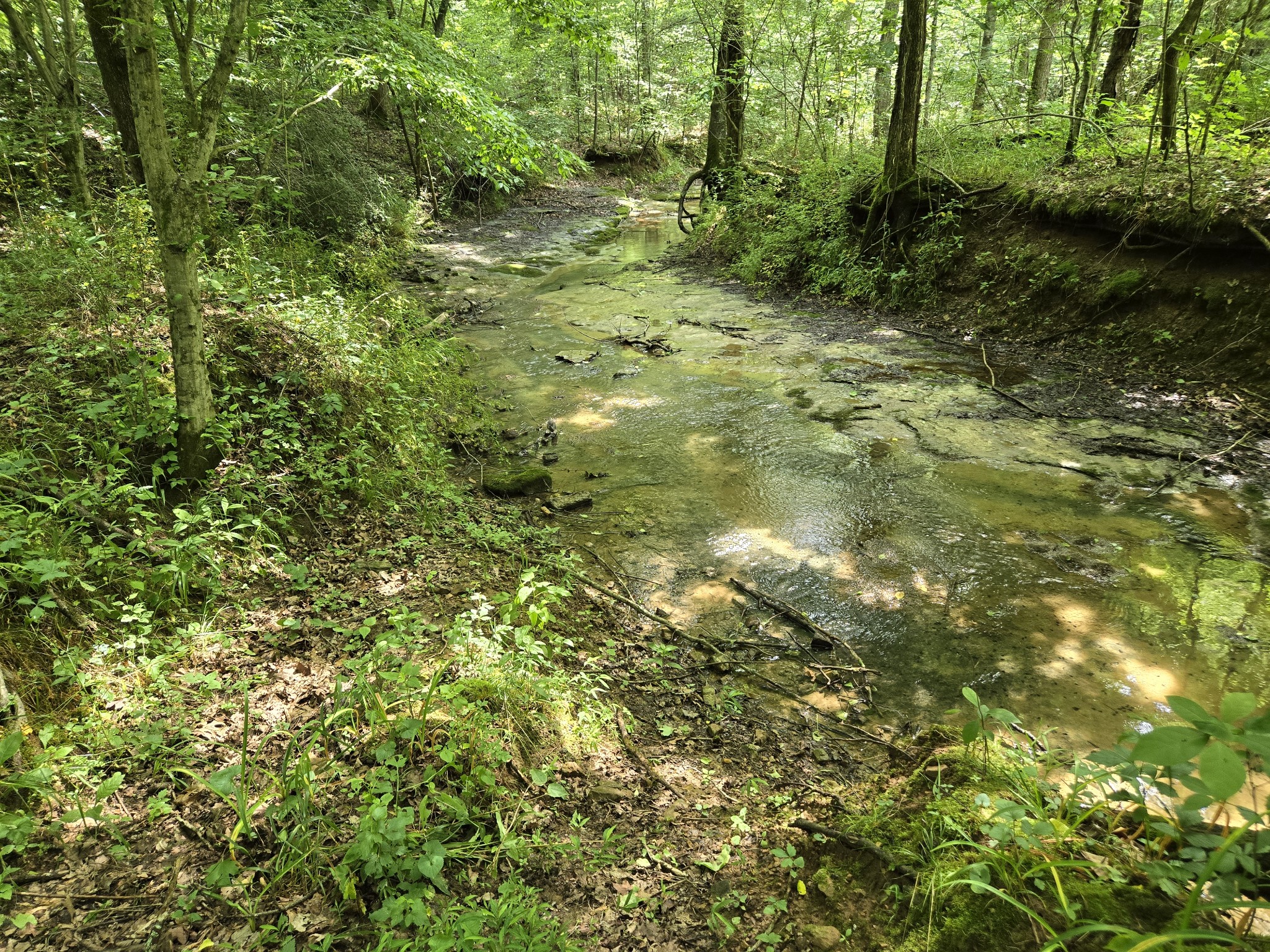 0 Mobley Ridge Road Duck River TN 38454