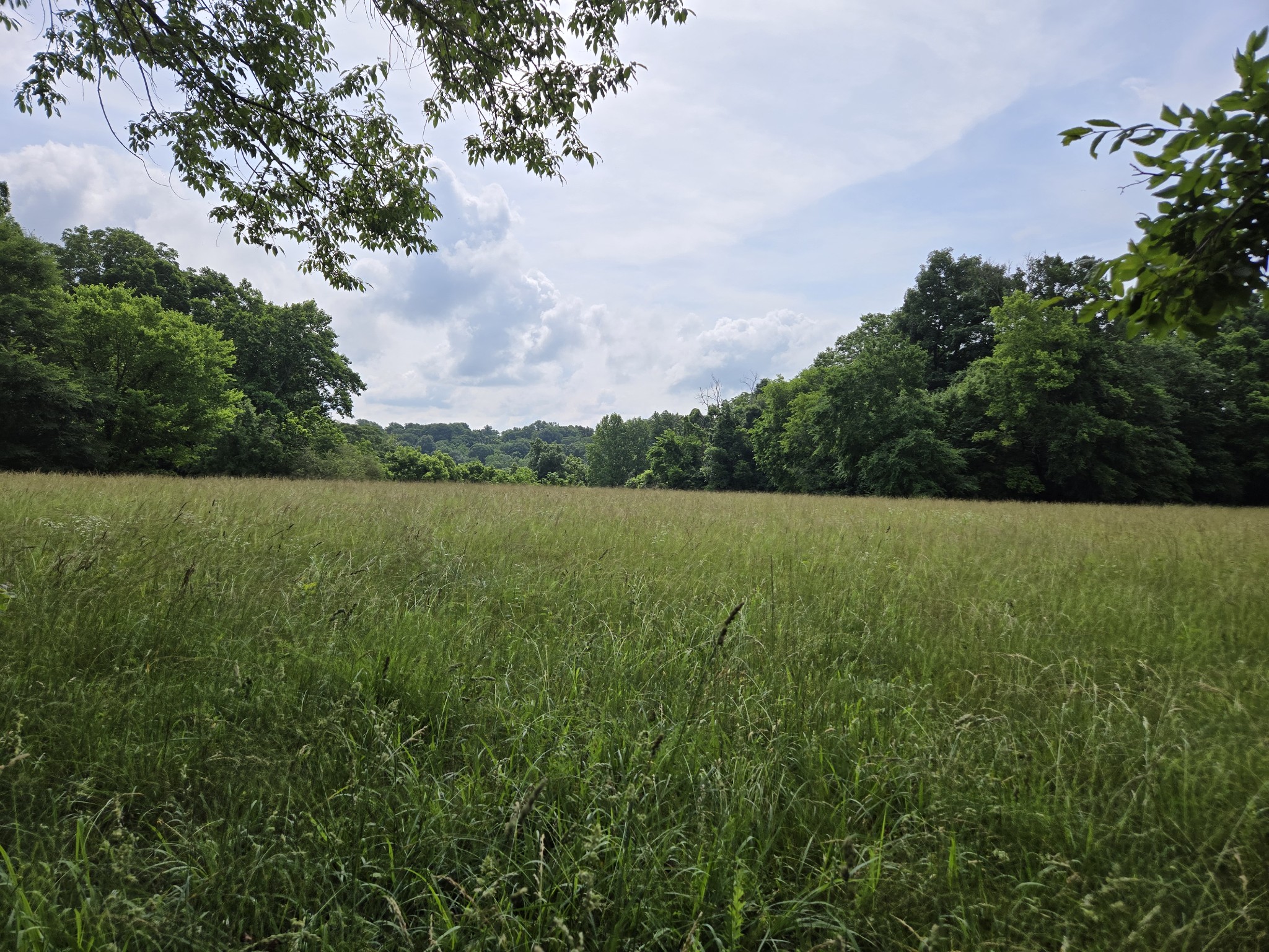 0 Mobley Ridge Road Duck River TN 38454