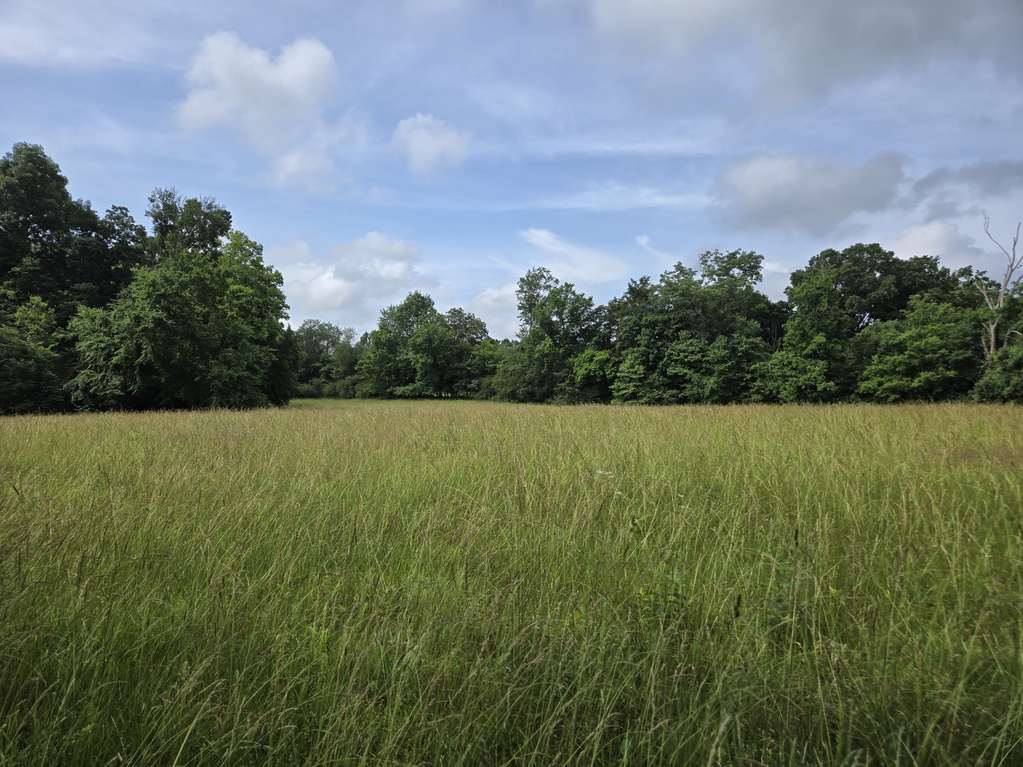 0 Mobley Ridge Road Duck River TN 38454