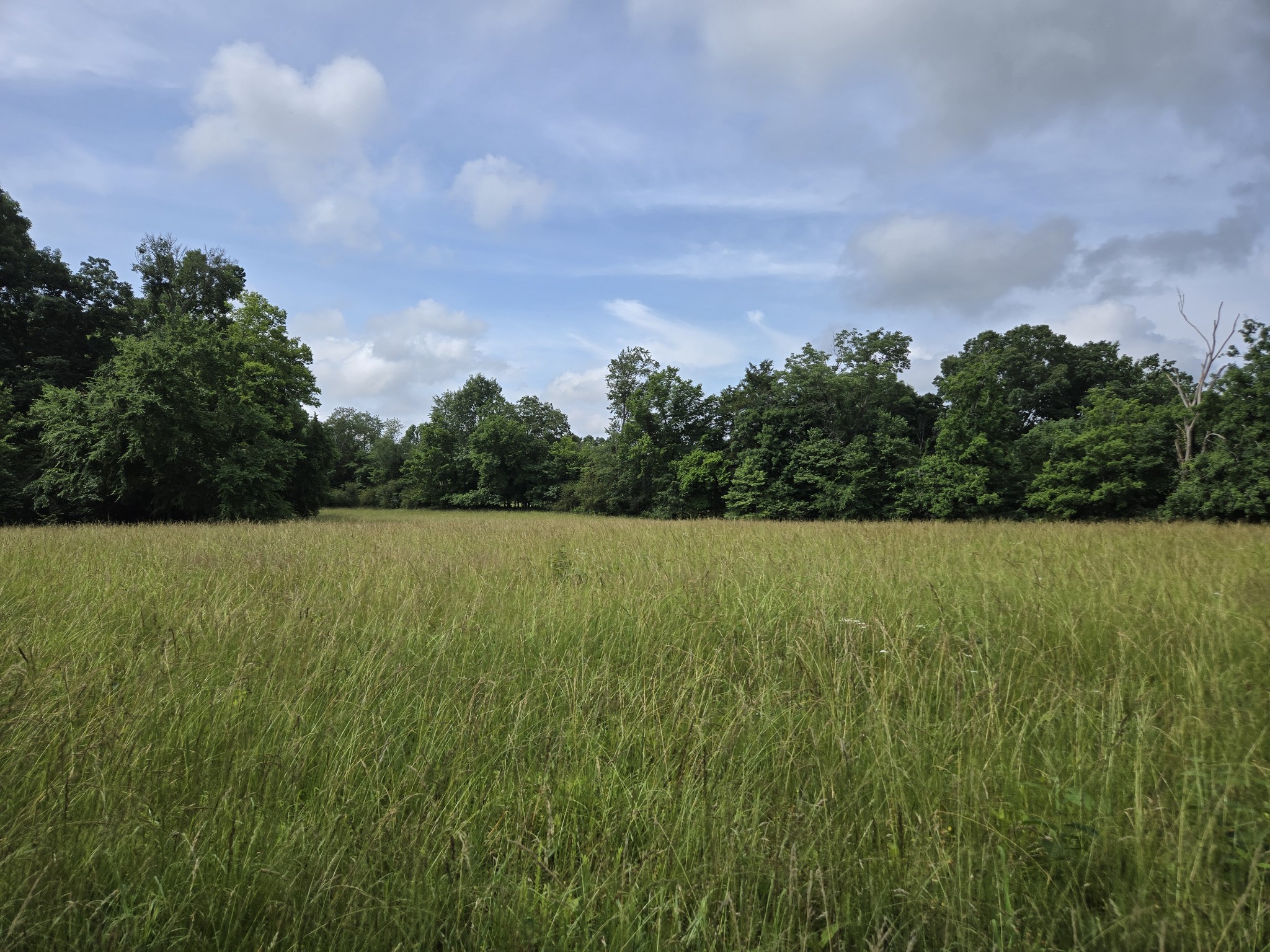 0 Mobley Ridge Road Duck River TN 38454