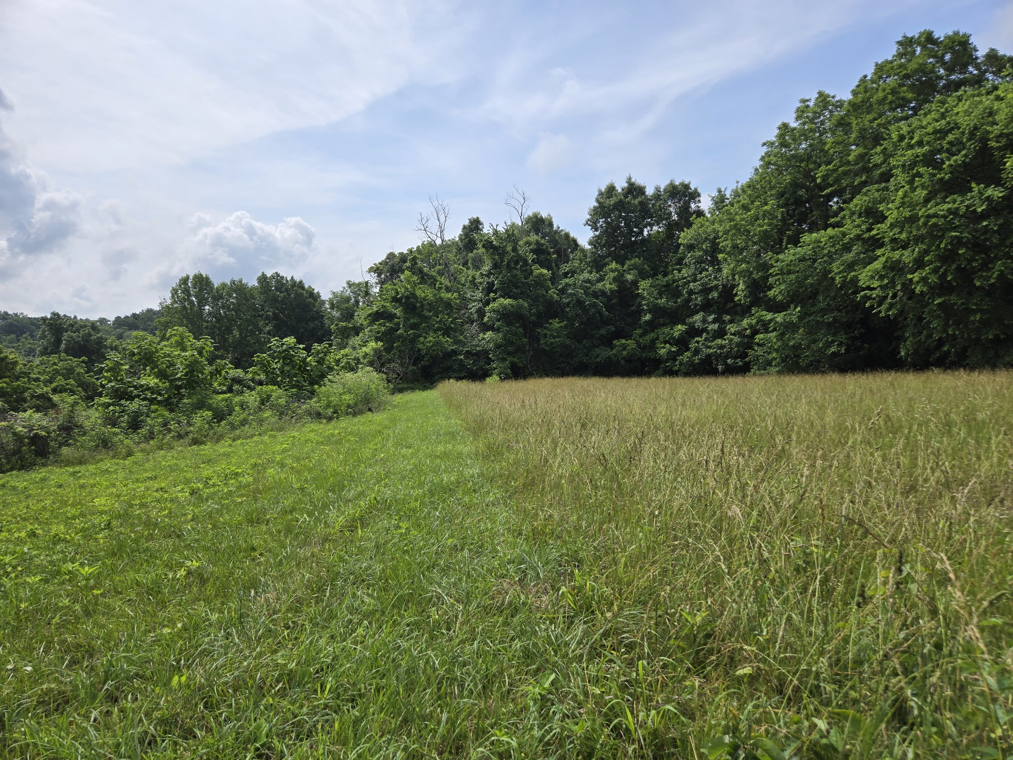 0 Mobley Ridge Road Duck River TN 38454