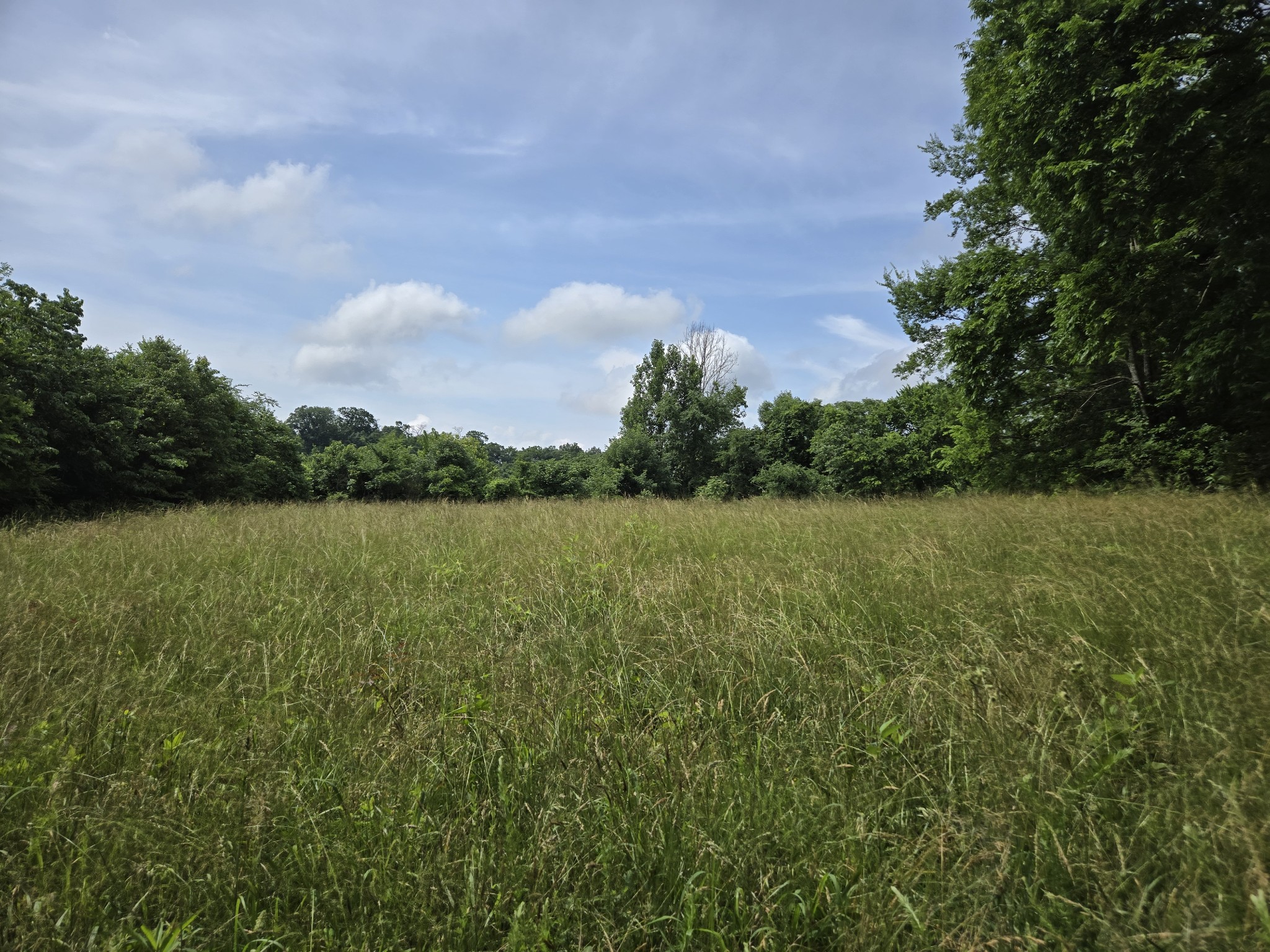 0 Mobley Ridge Road Duck River TN 38454