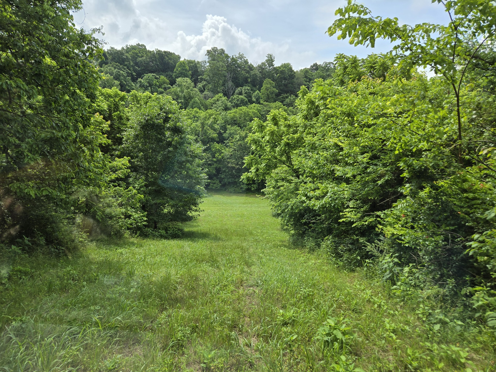 0 Mobley Ridge Road Duck River TN 38454
