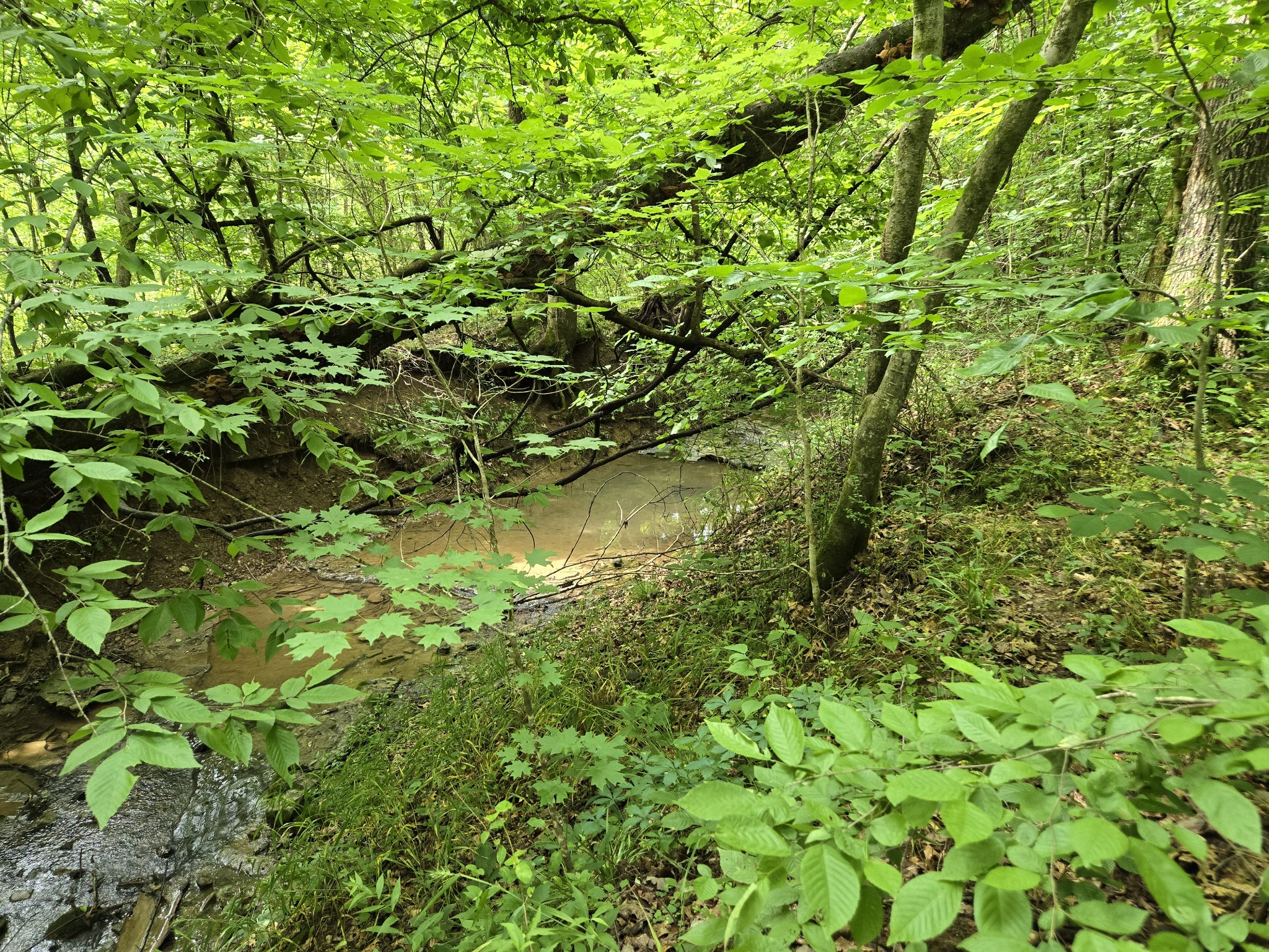 0 Mobley Ridge Road Duck River TN 38454