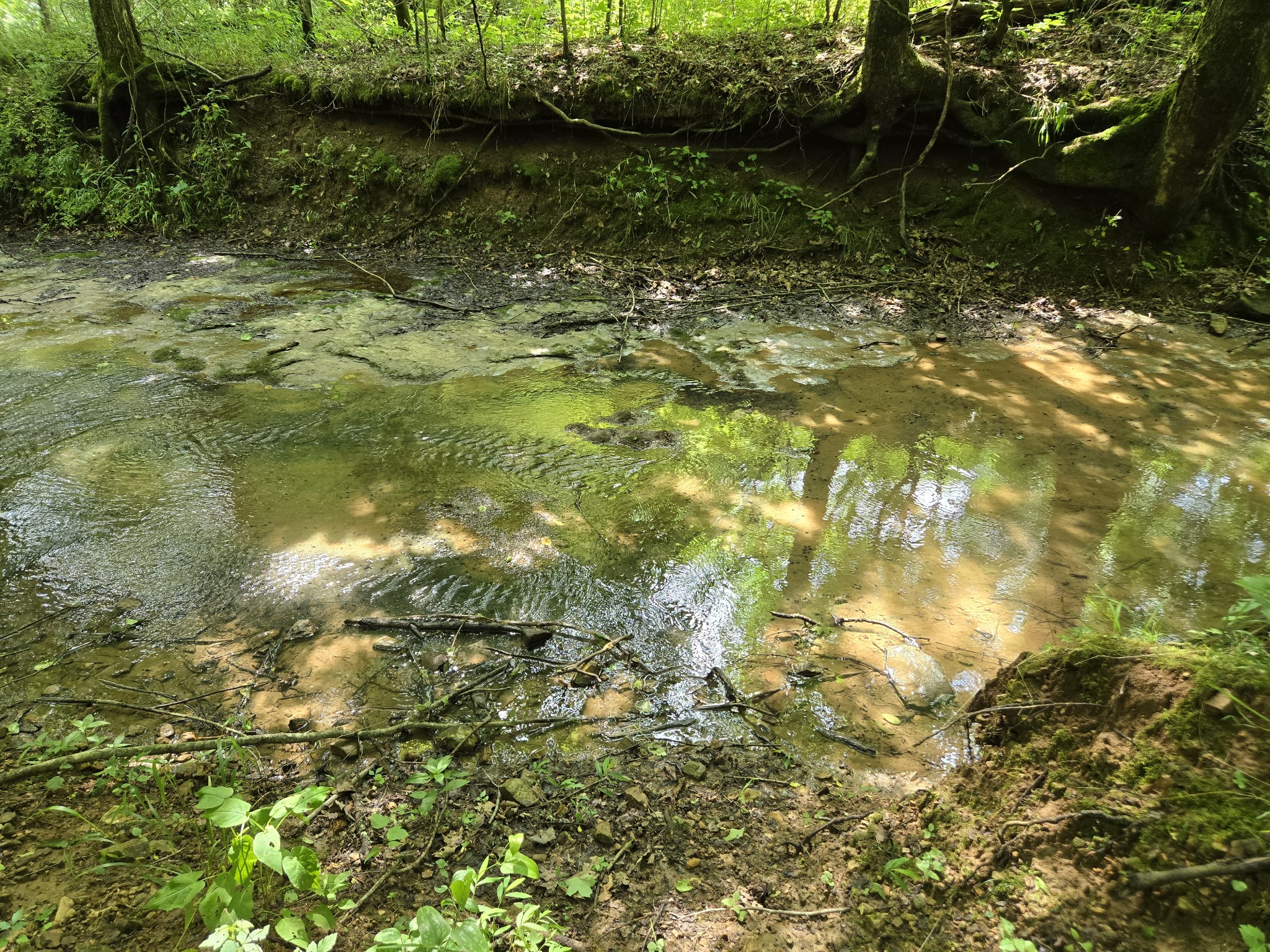 0 Mobley Ridge Road Duck River TN 38454