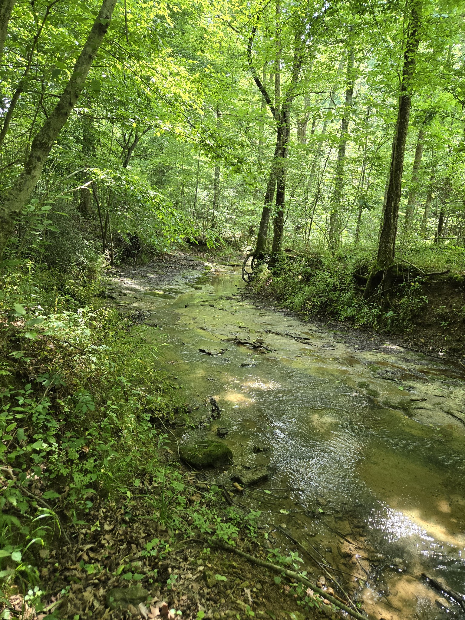 0 Mobley Ridge Road Duck River TN 38454