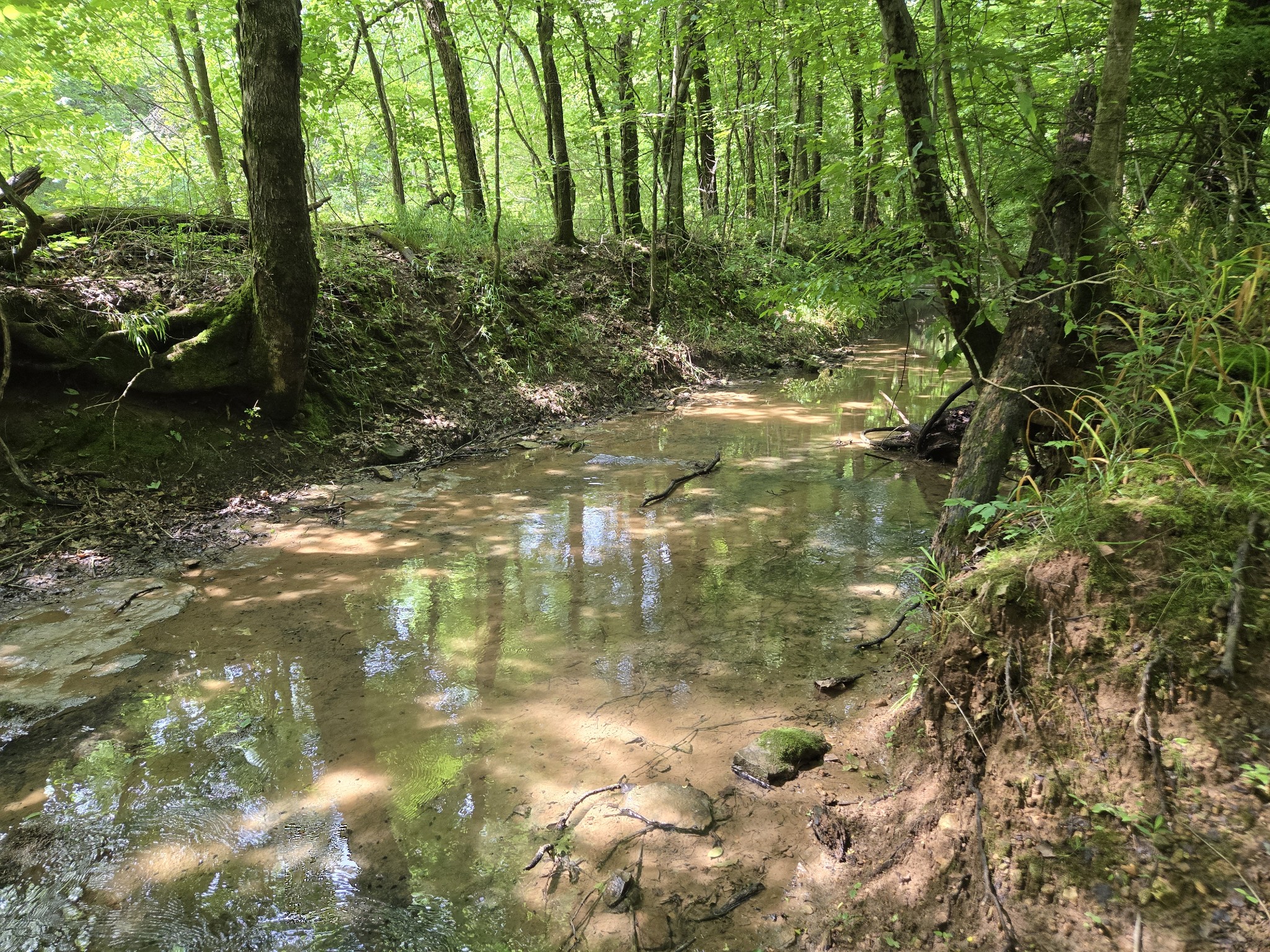 0 Mobley Ridge Road Duck River TN 38454