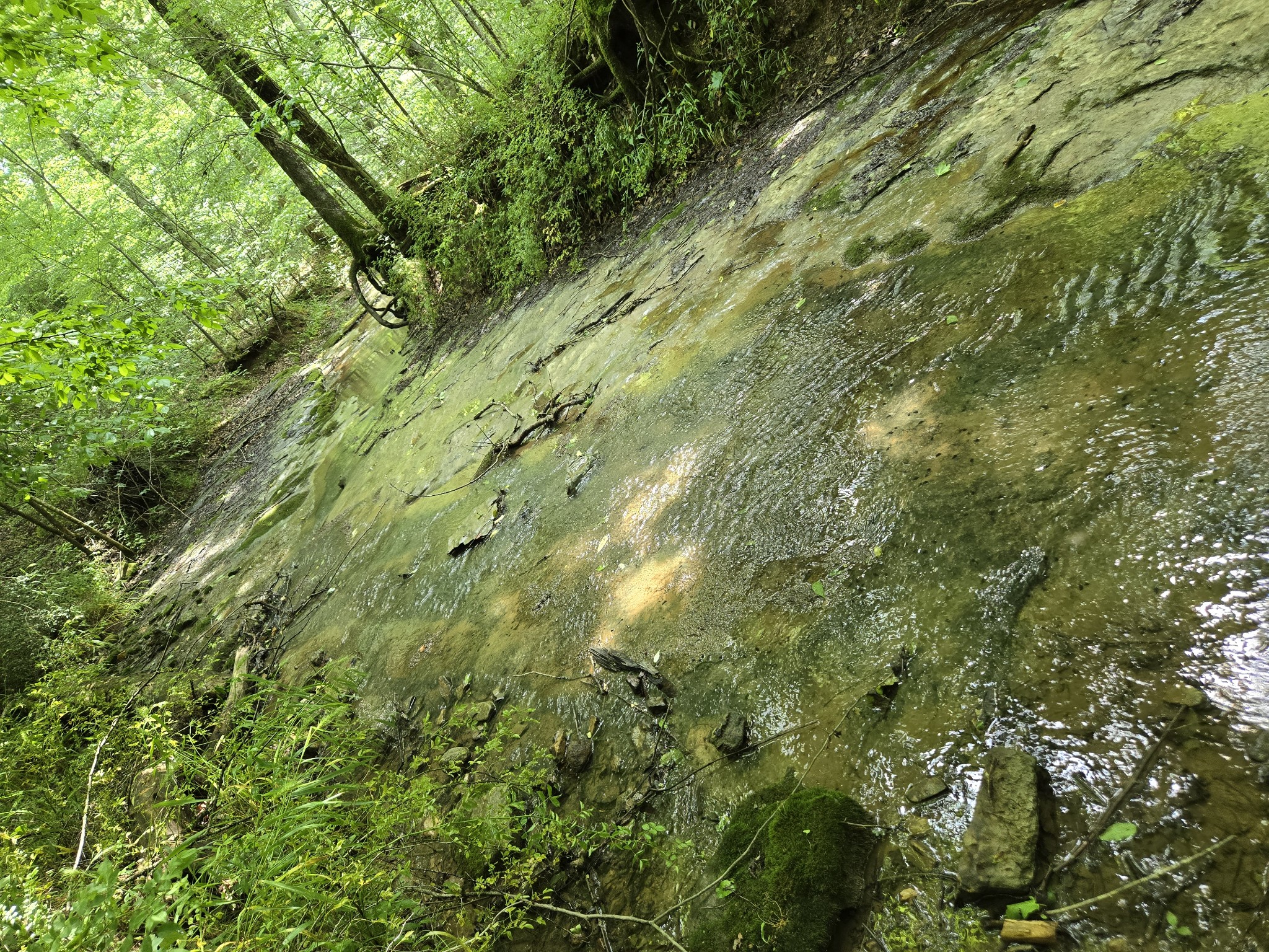 0 Mobley Ridge Road Duck River TN 38454